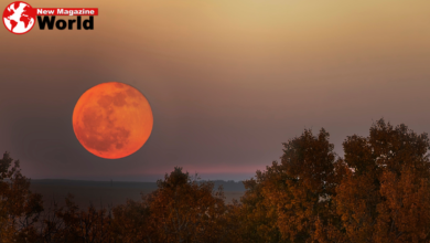 Orange Moon Tonight