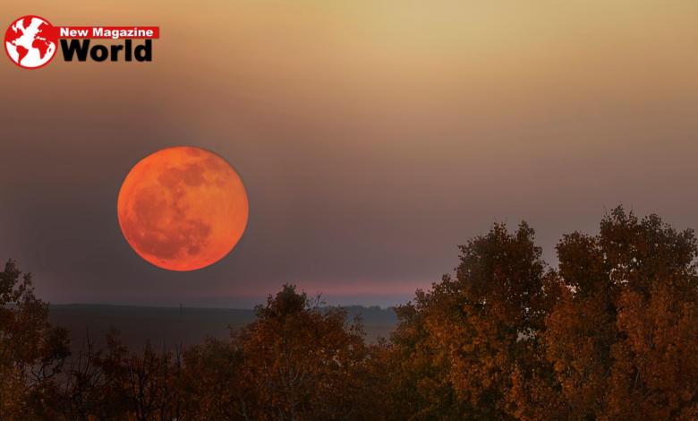 Orange Moon Tonight