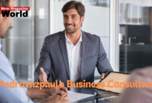 Pedrovazpaulo Business Consultant