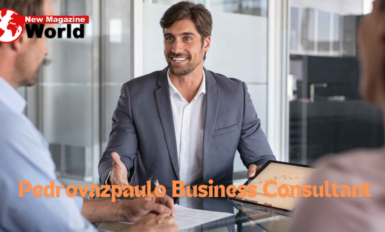 Pedrovazpaulo Business Consultant